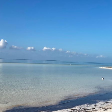Barco Verde Hostel Isla Holbox Kültér fotó