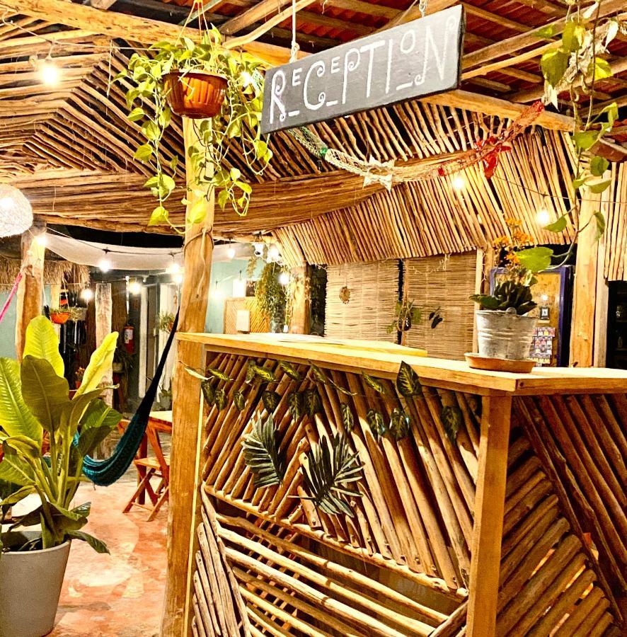 Barco Verde Hostel Isla Holbox Kültér fotó