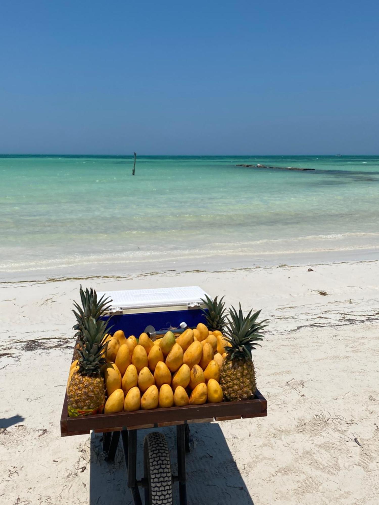 Barco Verde Hostel Isla Holbox Kültér fotó